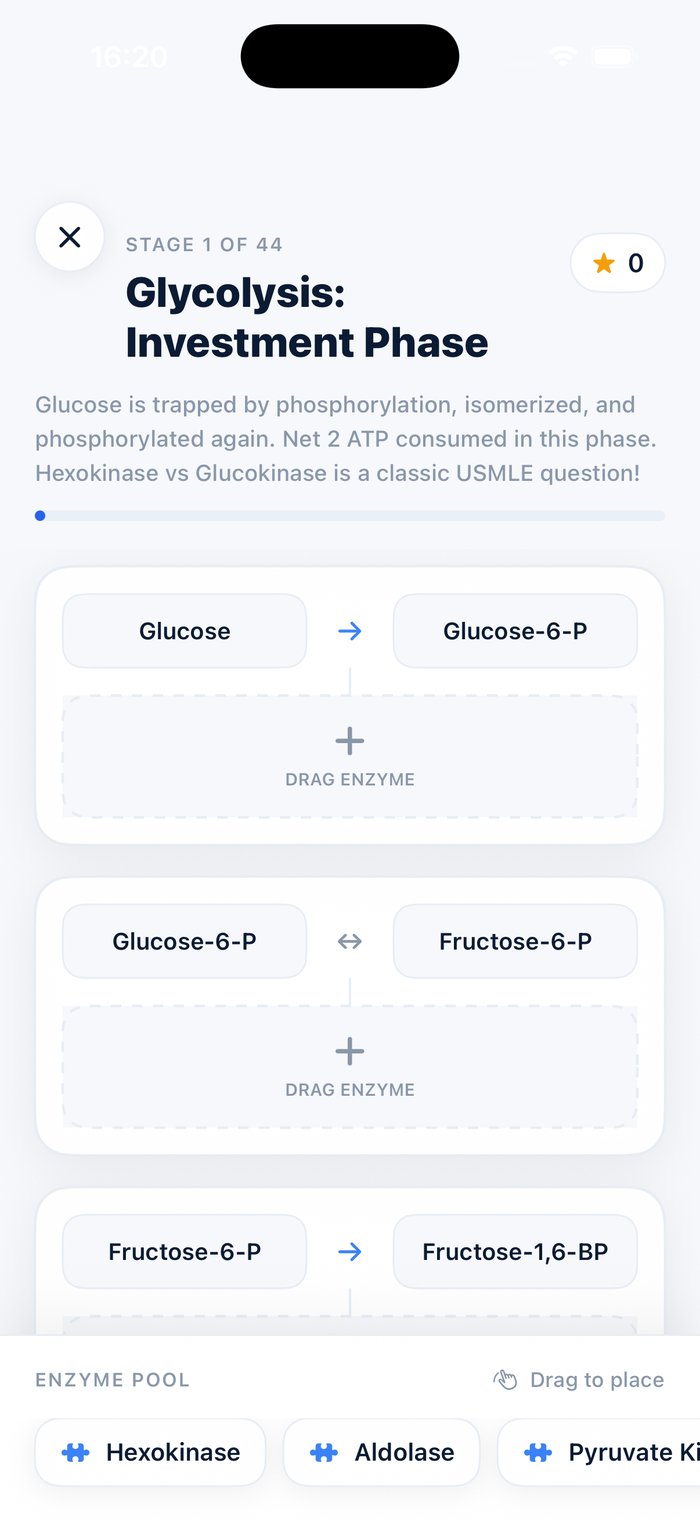 A MediByte skill game — dragging enzymes onto the glycolysis pathway